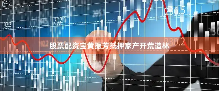 股票配资宝黄振芳抵押家产开荒造林