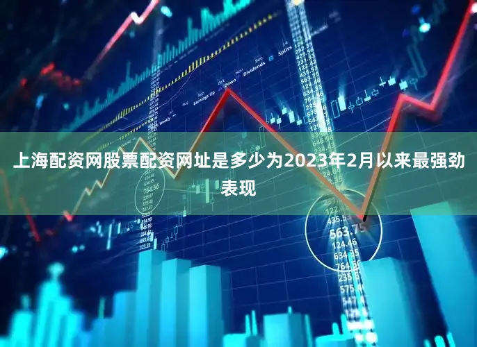 上海配资网股票配资网址是多少为2023年2月以来最强劲表现