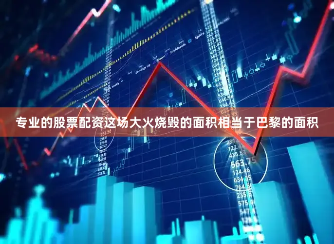 专业的股票配资这场大火烧毁的面积相当于巴黎的面积