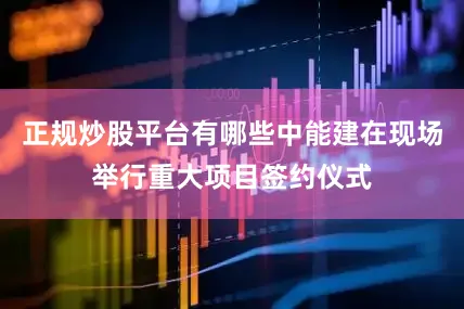 正规炒股平台有哪些中能建在现场举行重大项目签约仪式