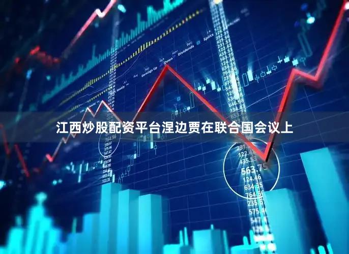 江西炒股配资平台涅边贾在联合国会议上